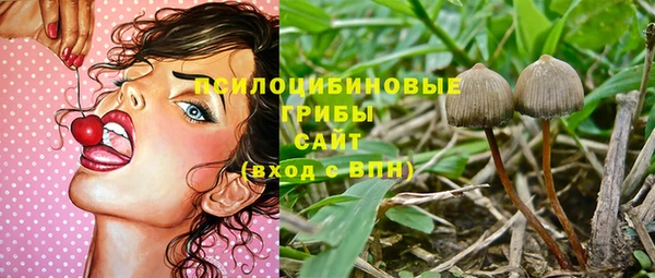 стафф Абаза