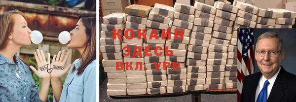 шишки Алексин