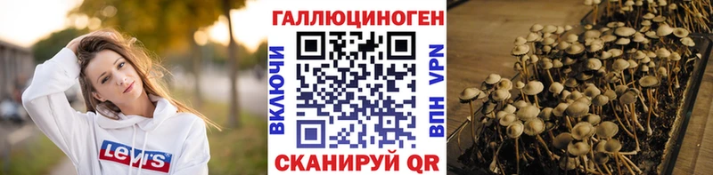 Псилоцибиновые грибы MAGIC MUSHROOMS  KRAKEN ССЫЛКА  Тольятти 