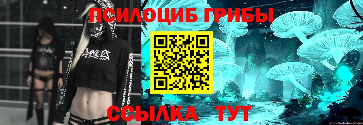 Галлюциногенные грибы Cubensis Тольятти