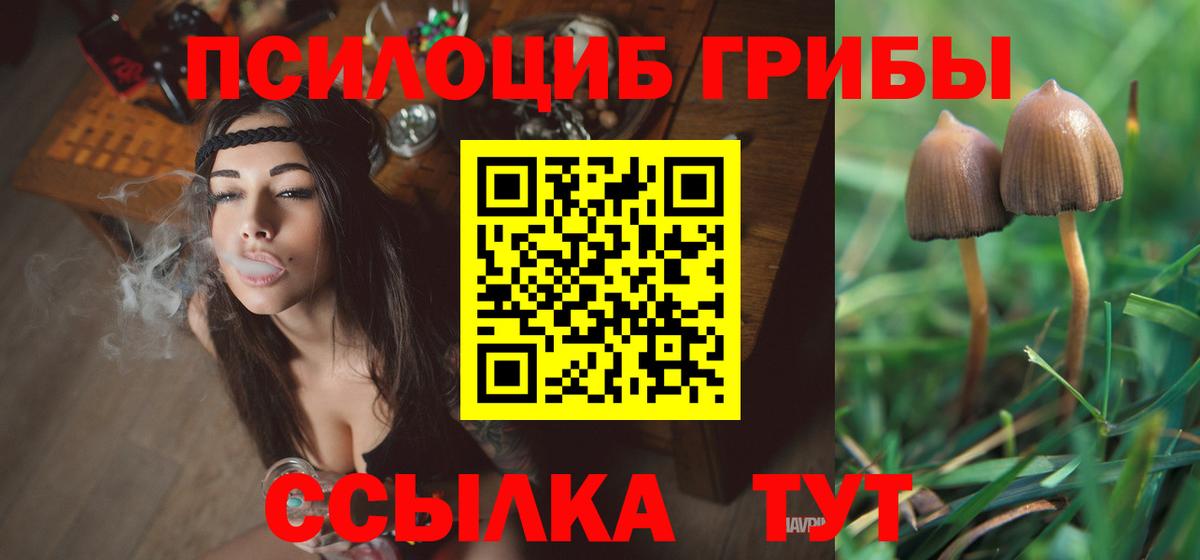 Тольятти  Псилоцибиновые грибы Magic Shrooms  Вход с VPN 